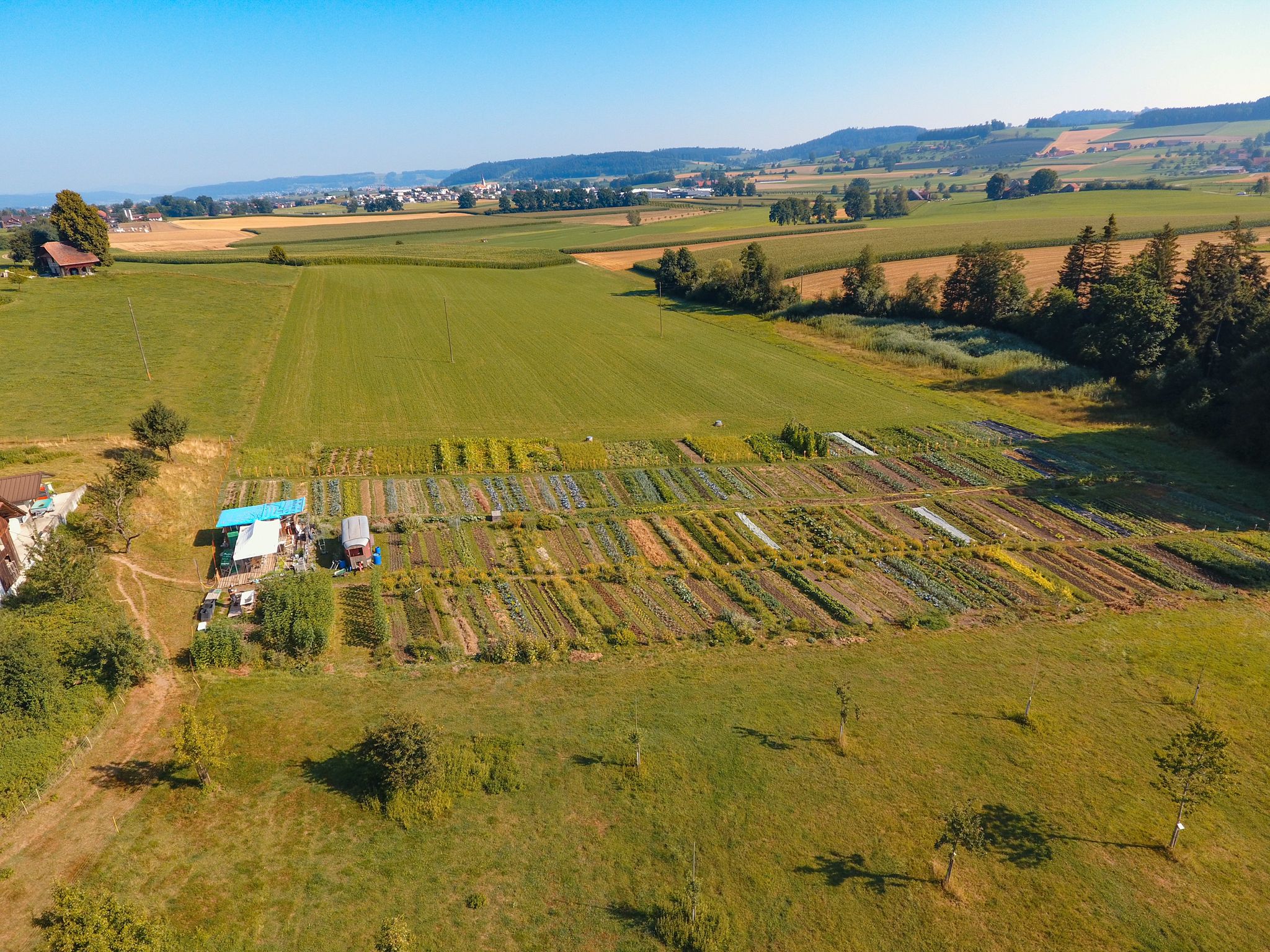 Drohnenbild Rüezligen, Grosswangen