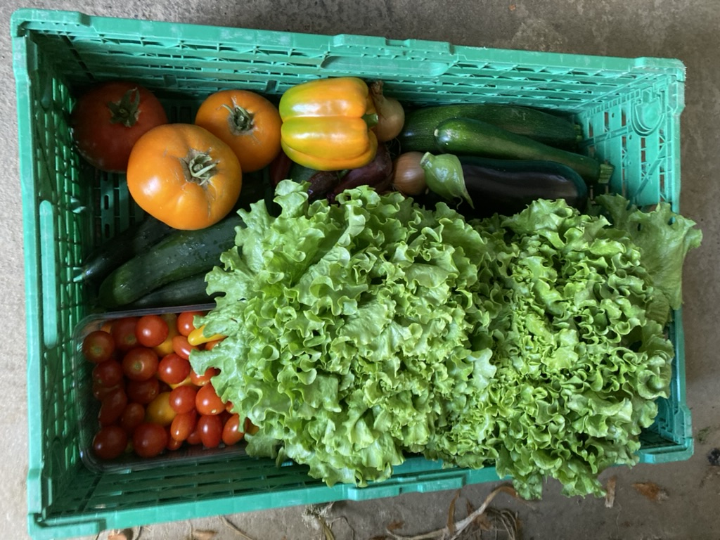 Ernteanteil ernteanteil standard sommer