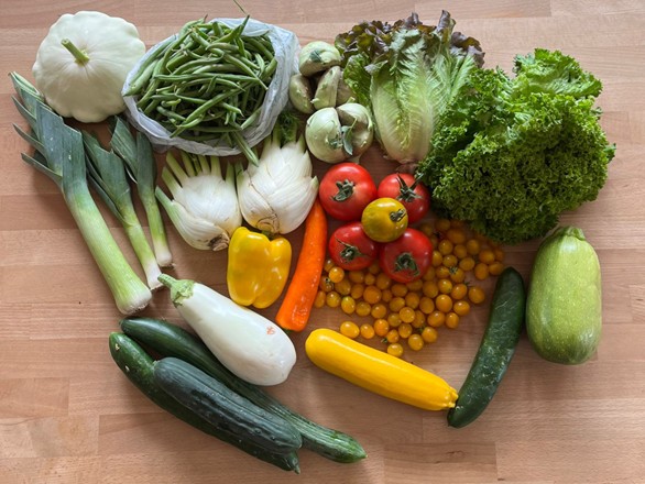 Ernteanteil ernteanteil standard plus herbst