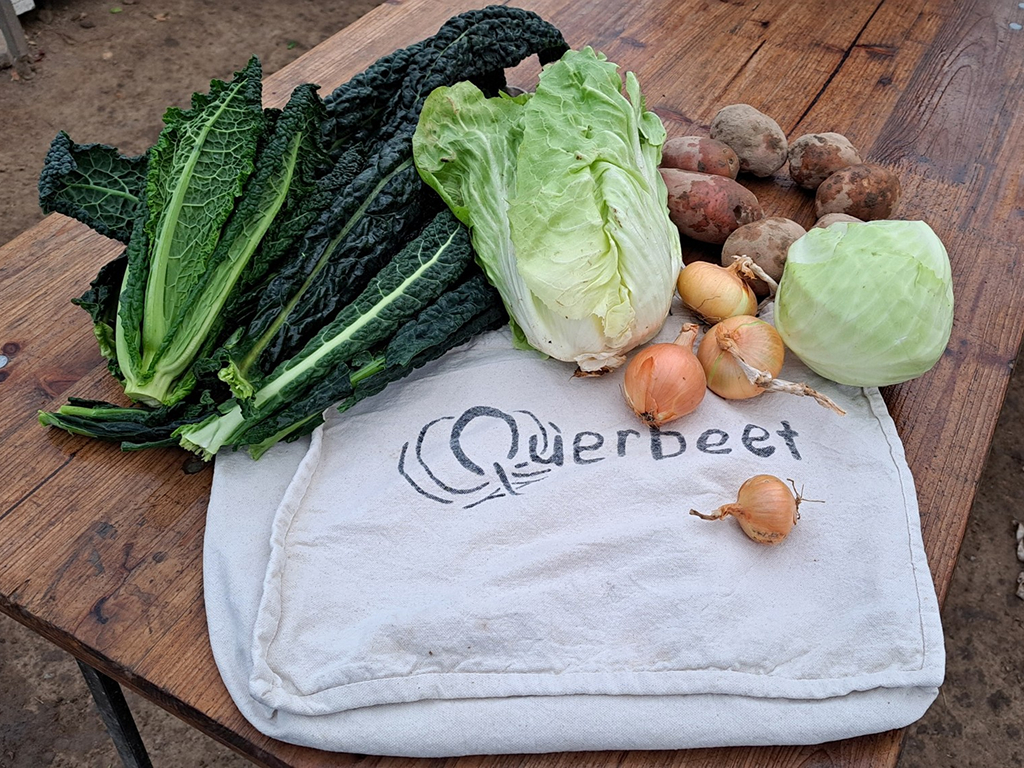 Ernteanteil ernteanteil klein winter