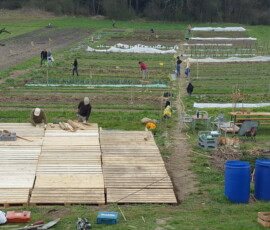 2021, bau der plattform (2)