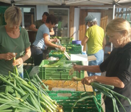 2022 gemüse für die lieferung rüsten