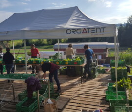 2022, packen ernteanteile