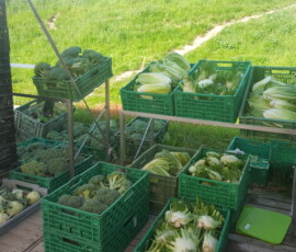 2022, bereit zum packen