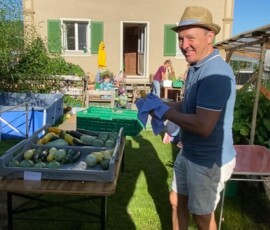 abpacken im ersten sommer (3)