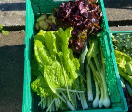 abpacken im ersten sommer