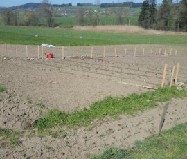 ganz am anfang, 2020